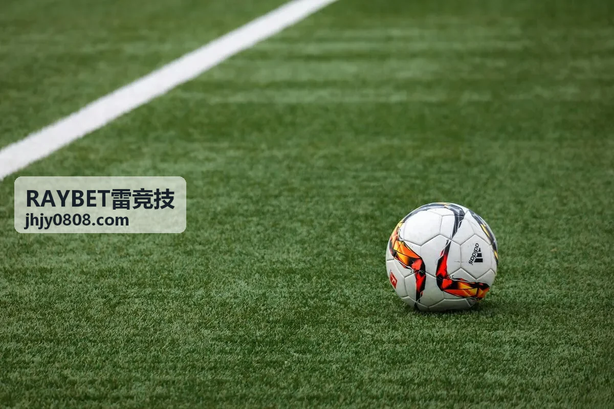 RAYBET对抗模型训练